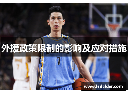 外援政策限制的影响及应对措施